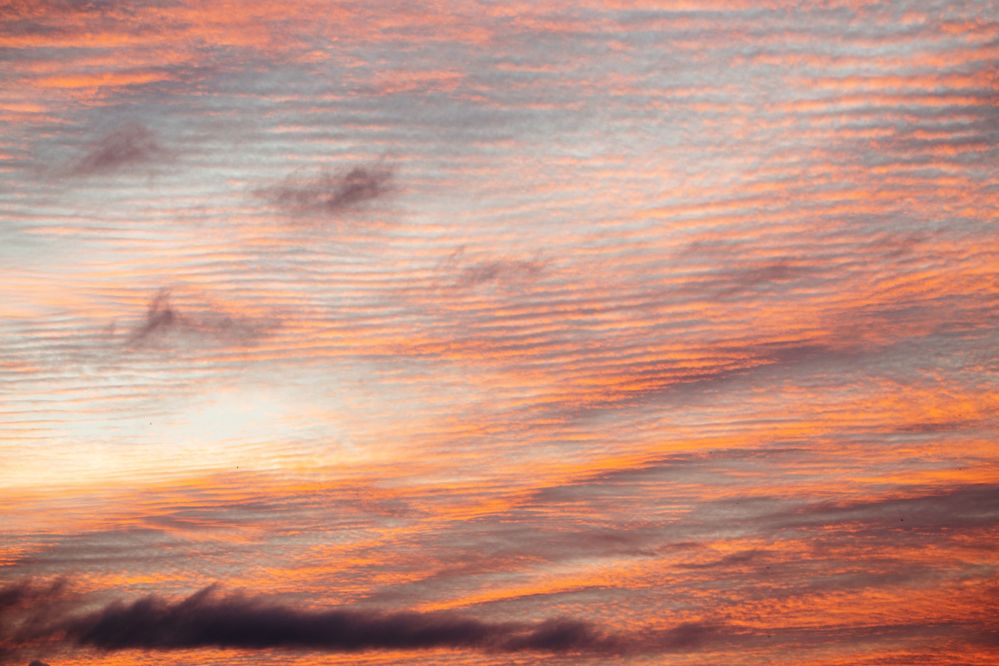 Photograph by KateAkh