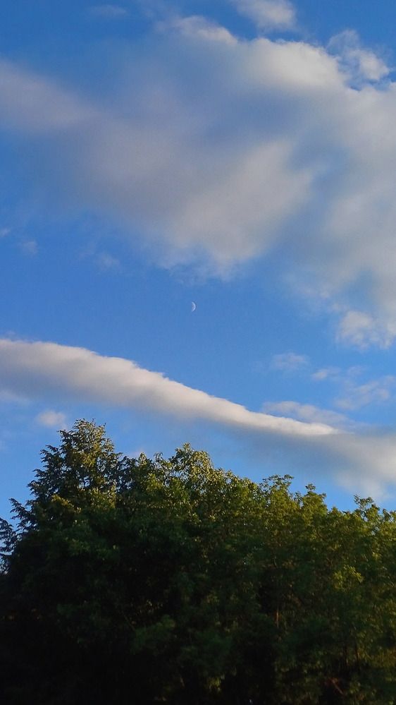 Photograph by Елена Воронова