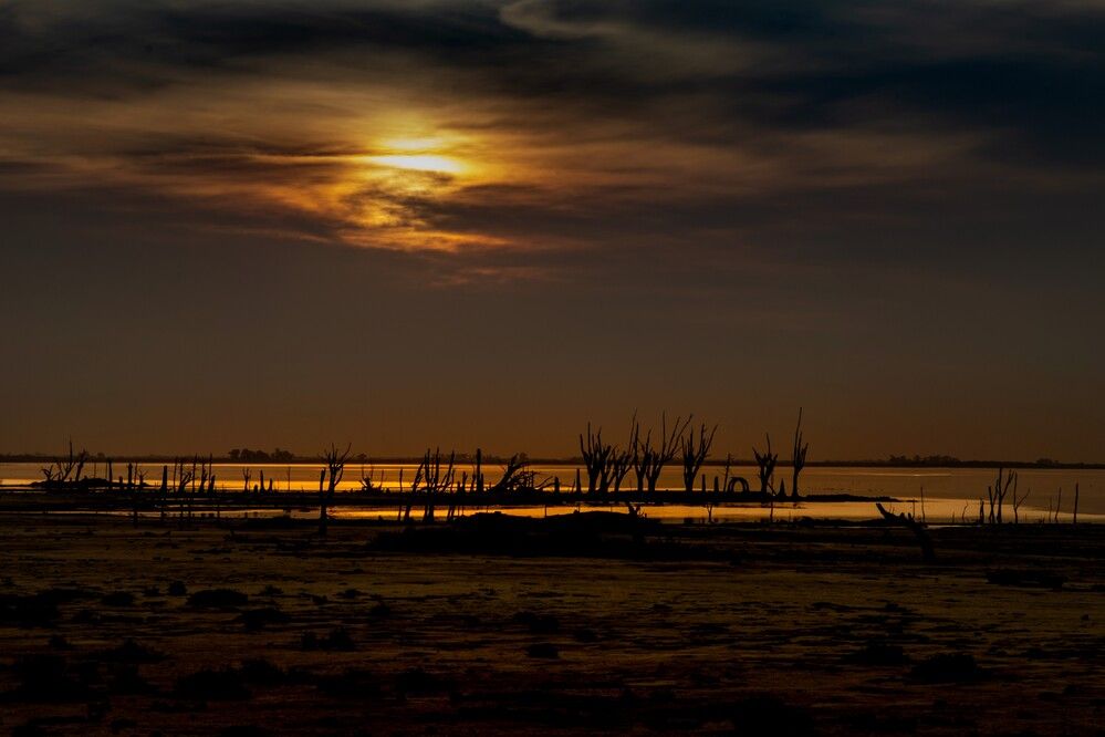 Photograph by jorge arnoten