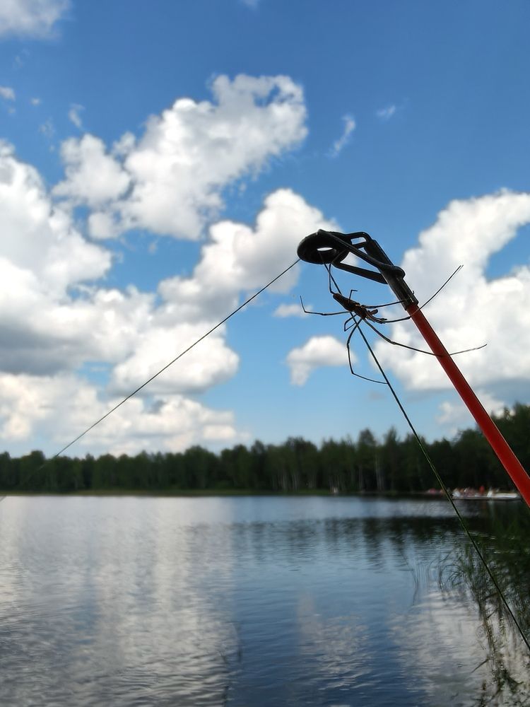 Photograph by Vadim Arutyunov