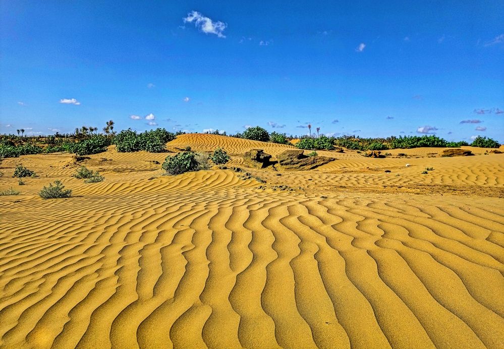 Photograph by Алёна Пшеленская