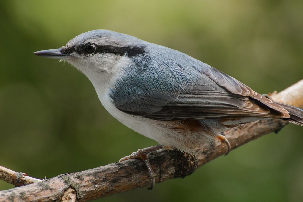 Photograph by Наталья Екимова