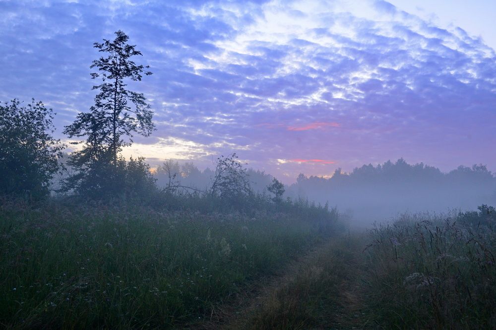 Раннее утро