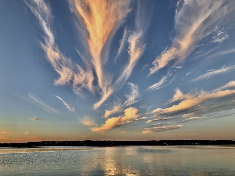 Photograph by Елена Шведова