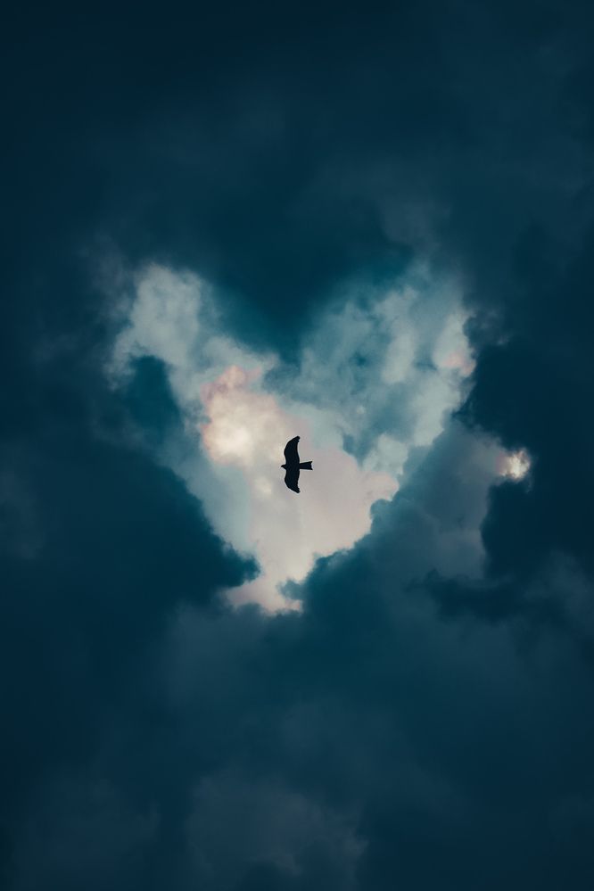 Photograph by Sumitava Chowdhury