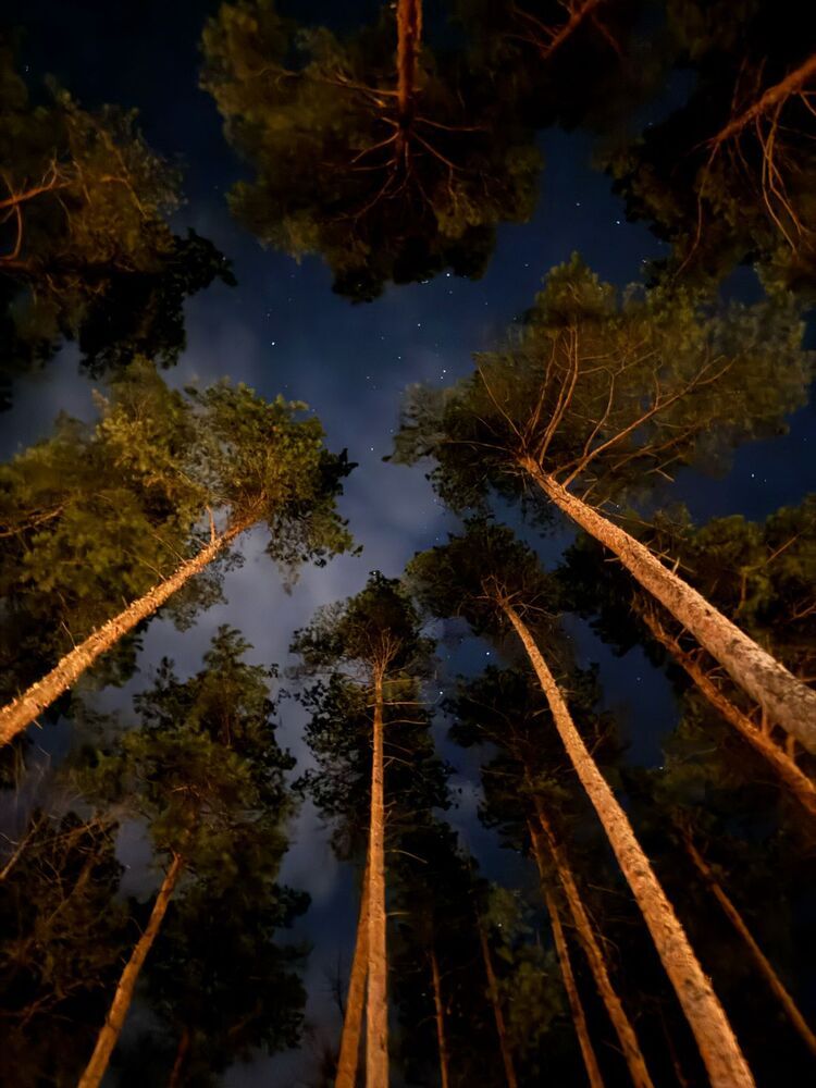 Photograph by Елена Квинт