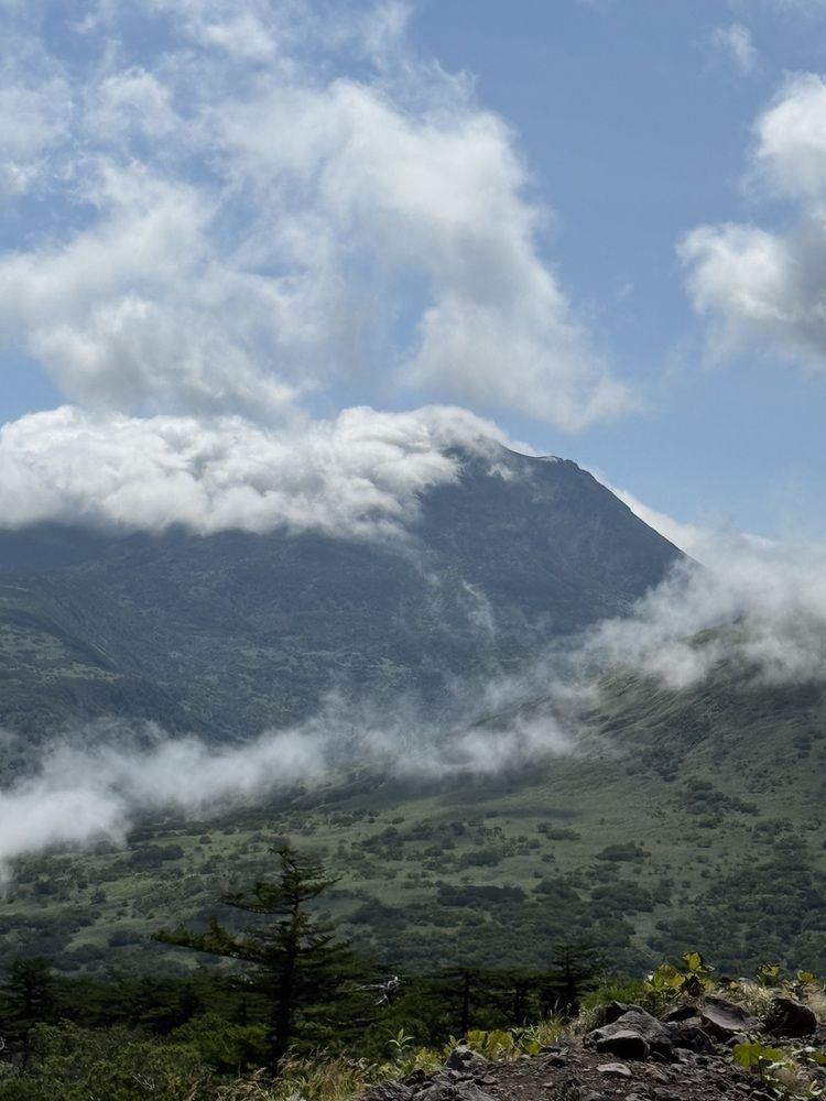 Photograph by Елена Квинт