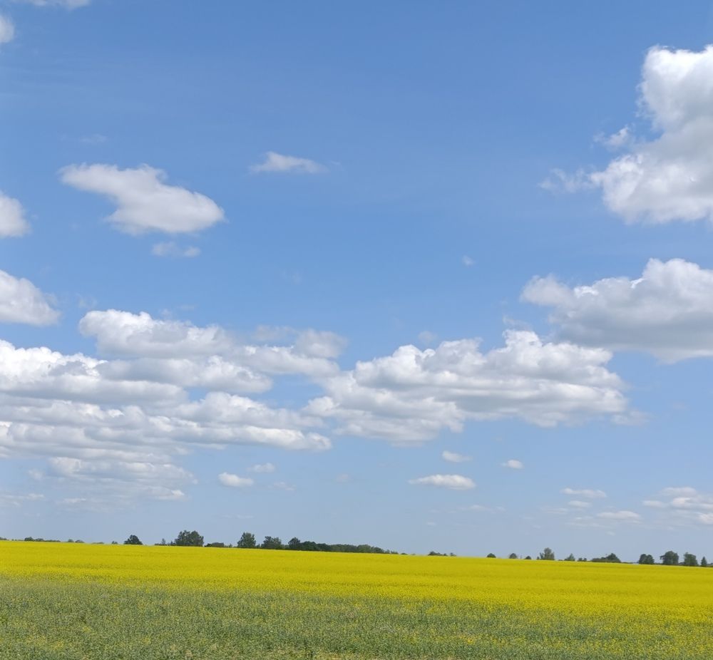 Photograph by Екатерина Супраненок