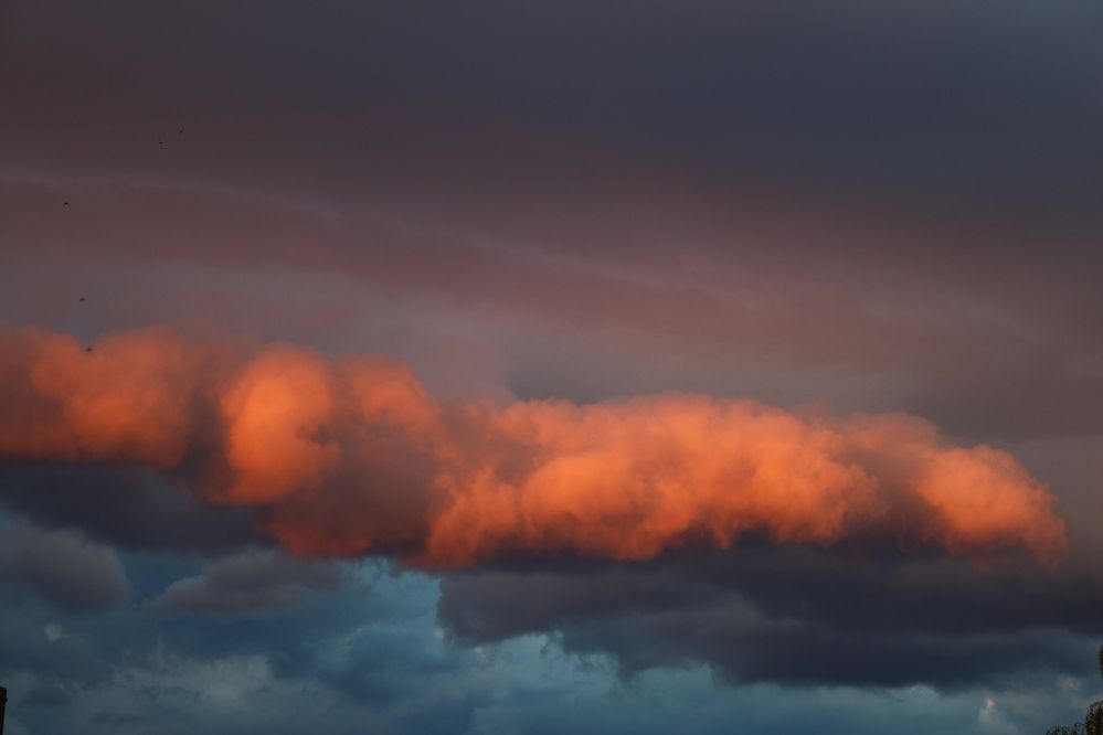 Photograph by Светлана Шуткова