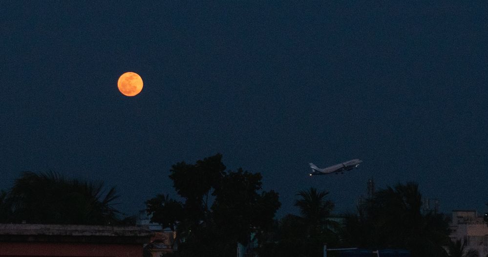 Photograph by Sumitava Chowdhury