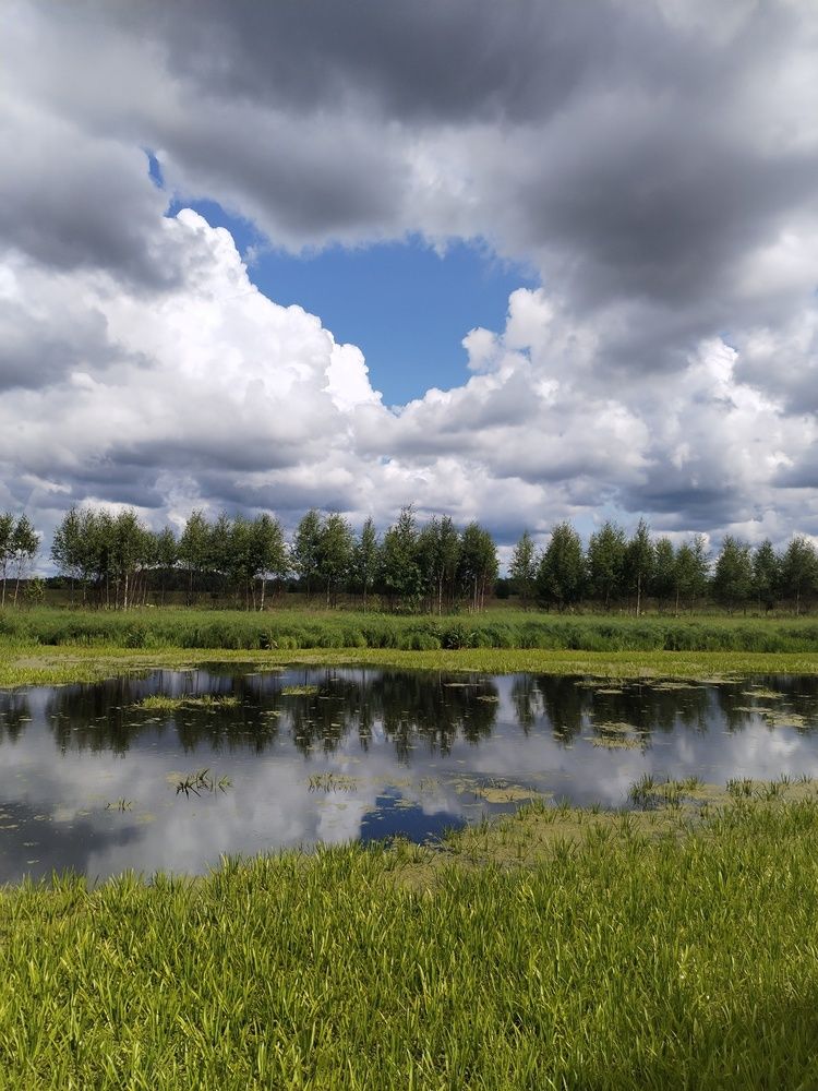 Photograph by Юлия Меркулова