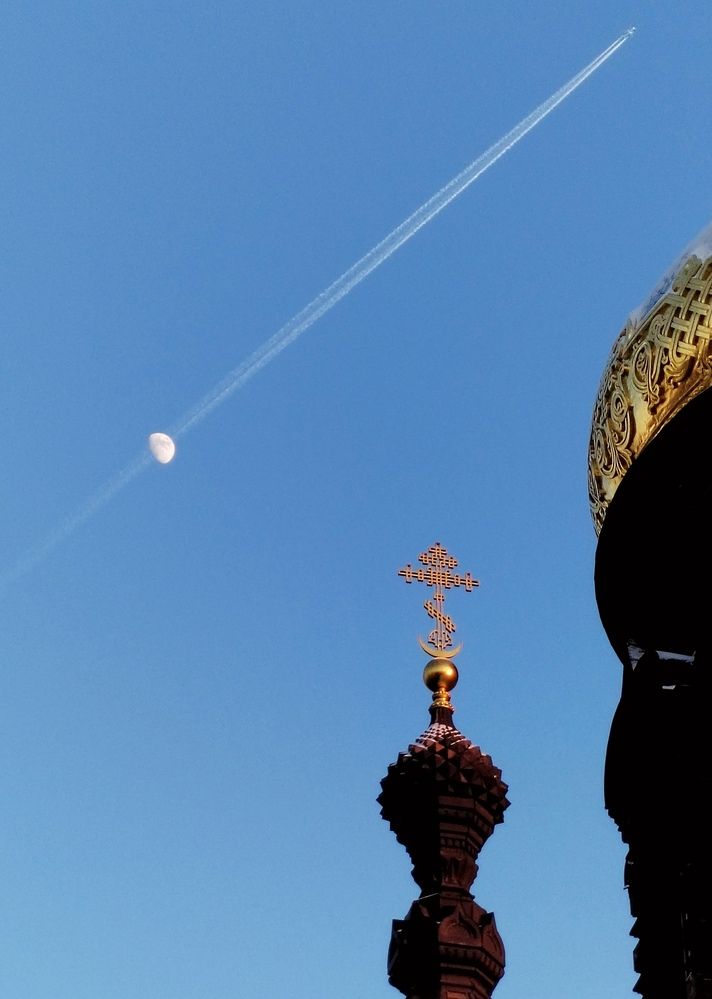 Фотография автора Альбина Хвастунова