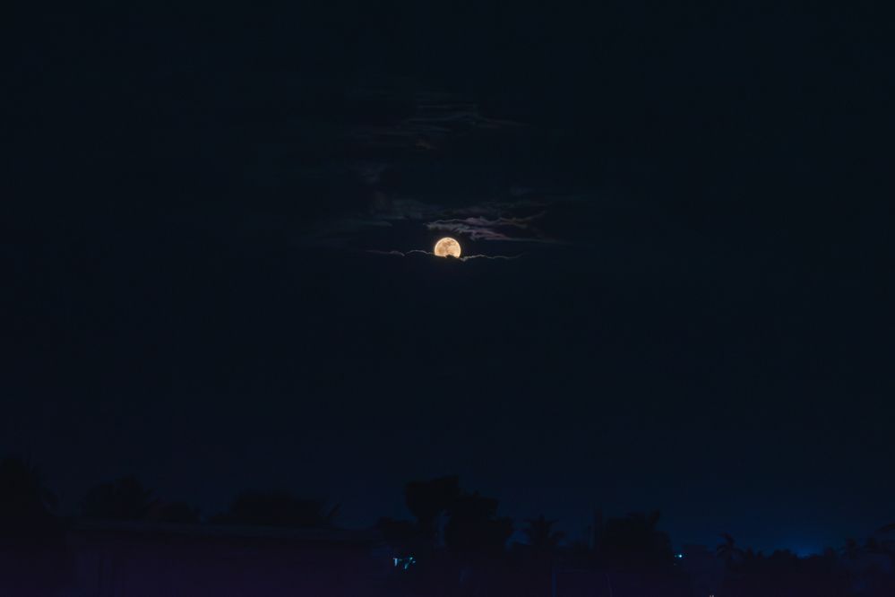 Photograph by Sumitava Chowdhury