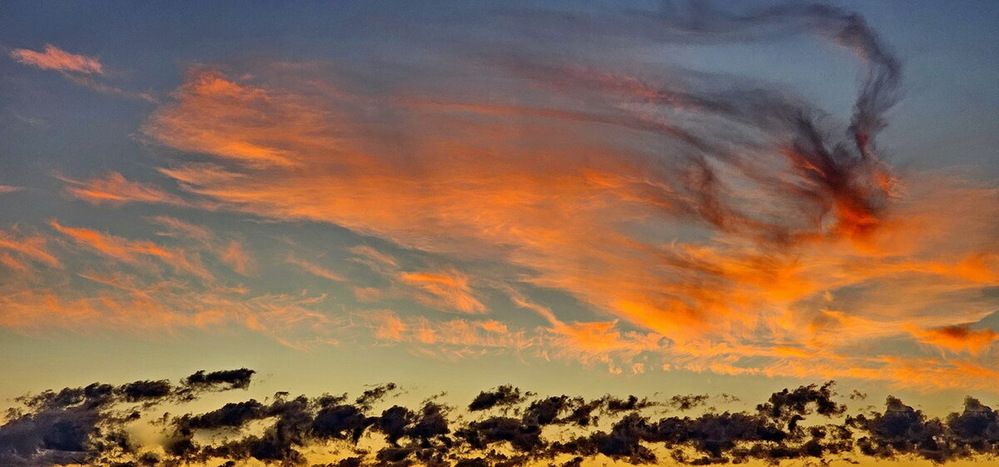 Photograph by Михаил Свиденцов