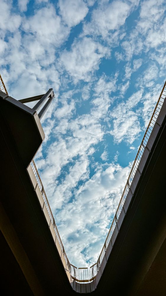 Photograph by Anna Shelutina