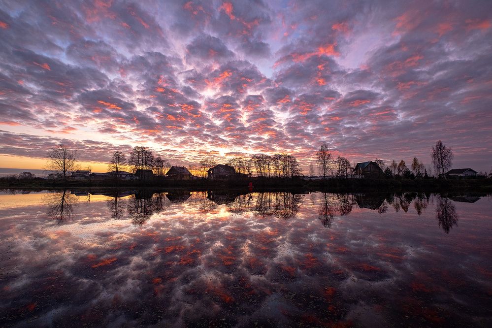 Photograph by Kaiser Sozo