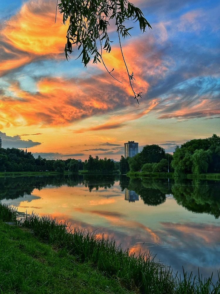 Photograph by Ольга Позняк