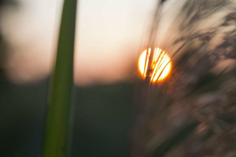 Photograph by Мария Бобылёва