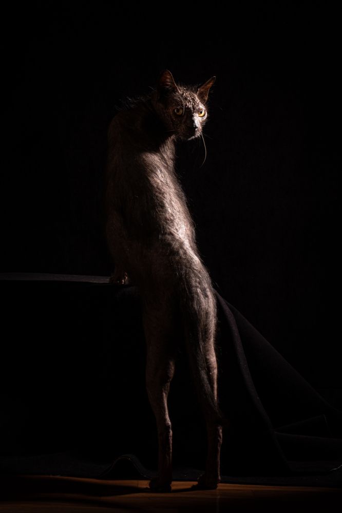 Photograph by Dina Damotseva
