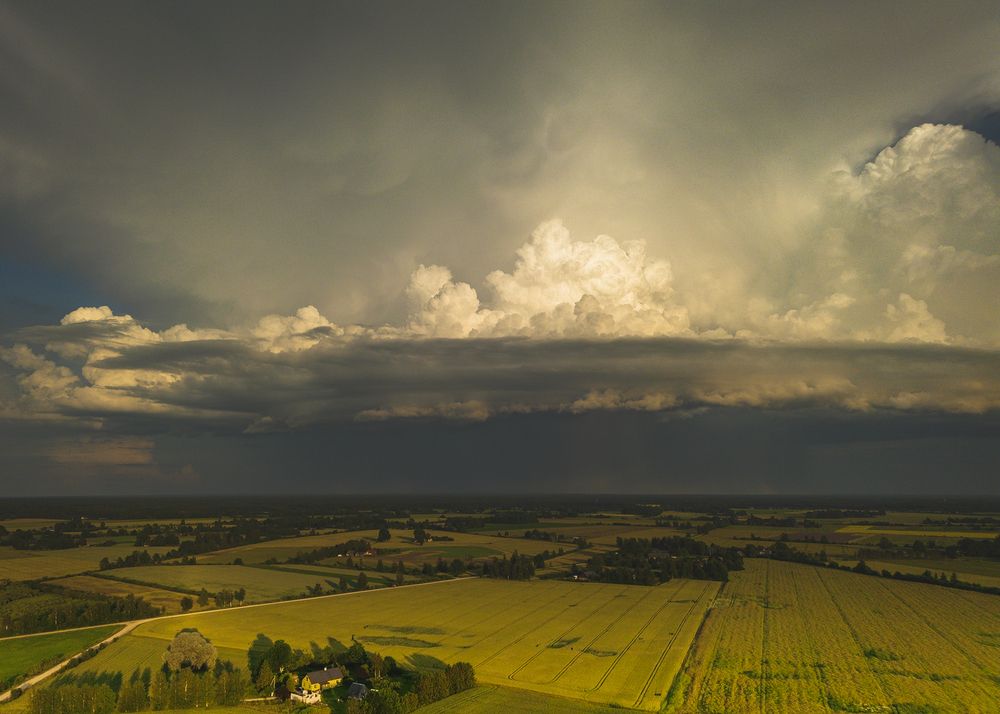 Фотография автора Марис Анкевицс