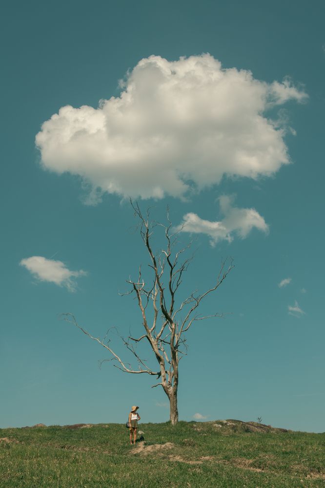 Photograph by RAFAEL SERRANO