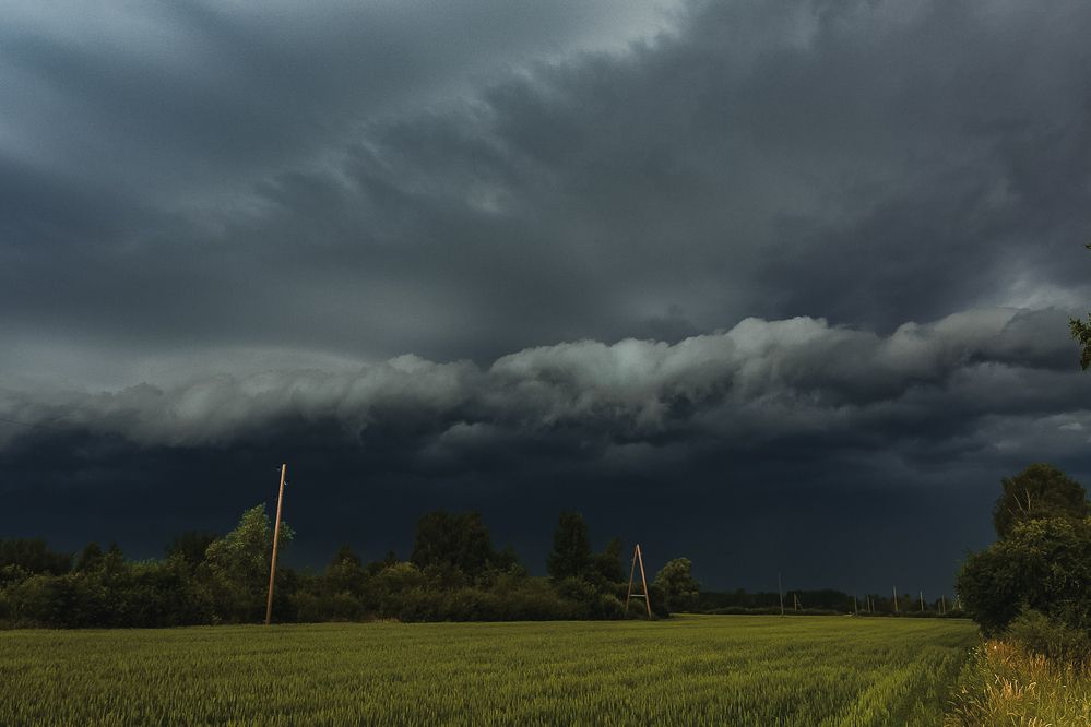 Фотография автора Марис Анкевицс