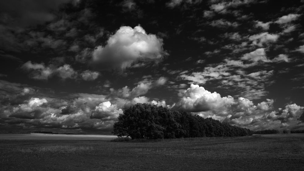 Photograph by Ирина Ксензова