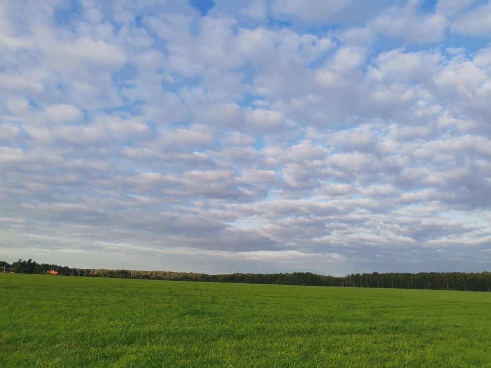 Фотография автора Давыдова Ольга Николаевна