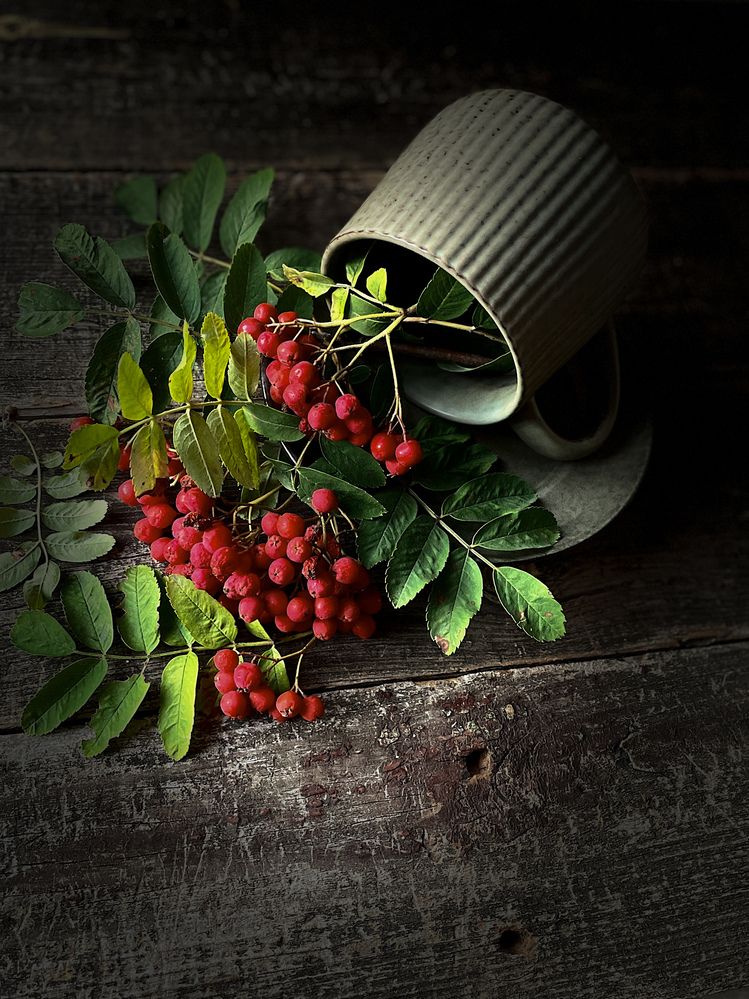 Photograph by Светлана Савина