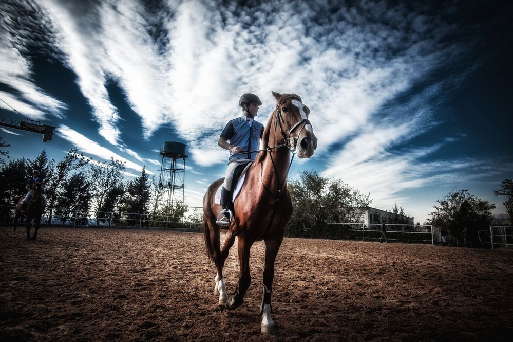 Photograph by DAMOUN POURNEMATI