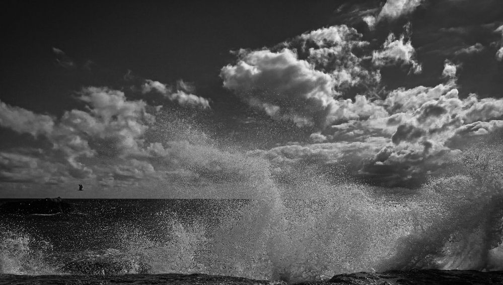 Photograph by Владимир Добрыйвечер