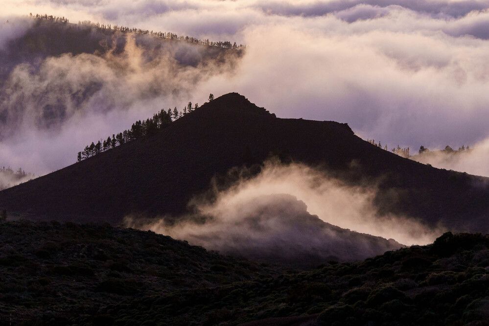 Photograph by Luis Francisco Bravo Olazabal