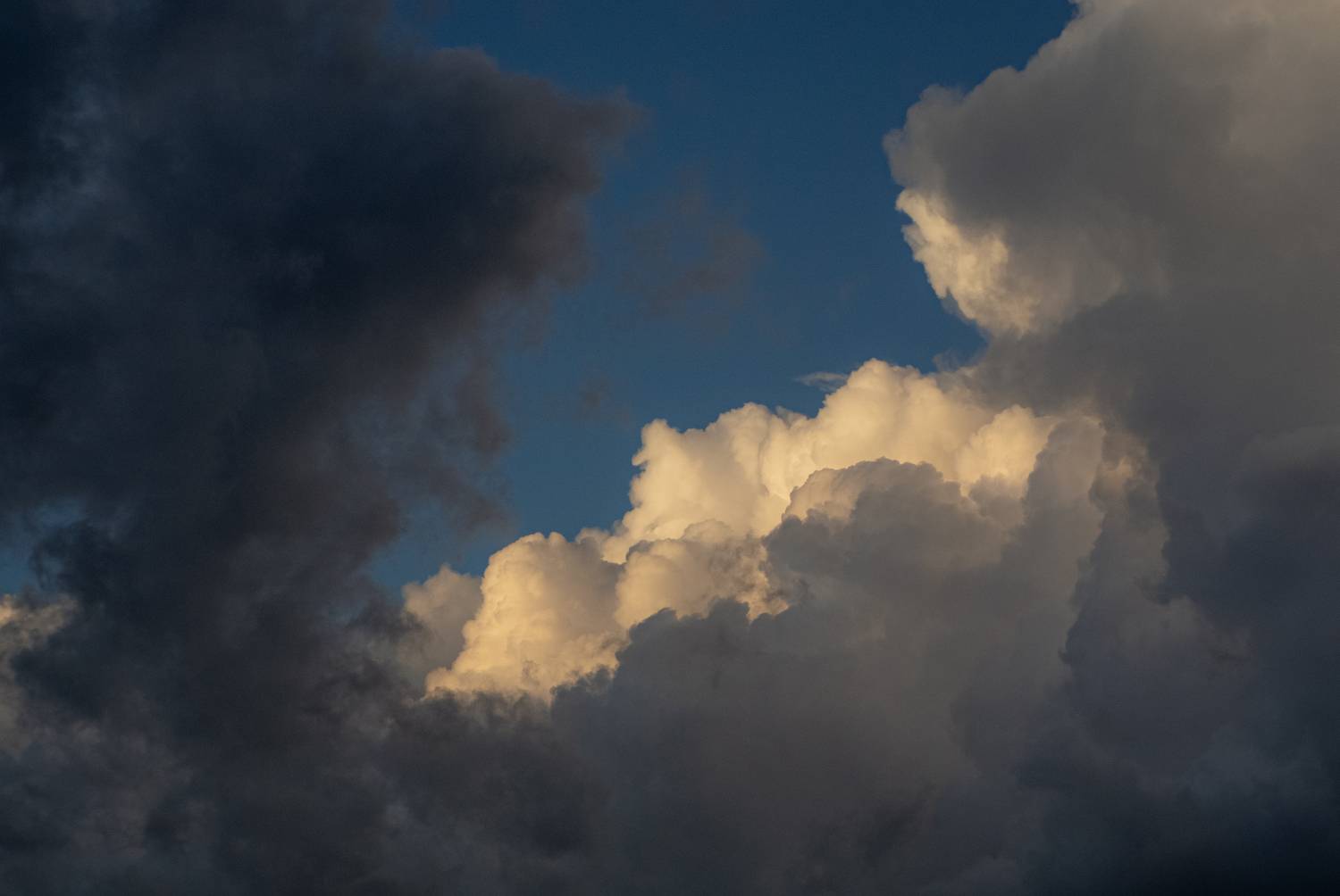 Photo #12543366