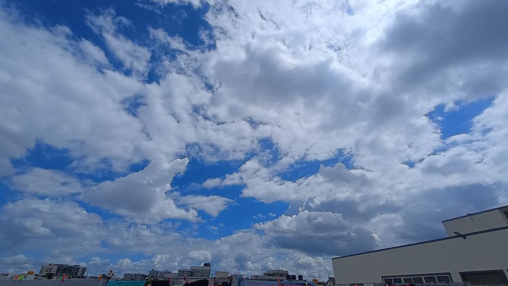 Фотография автора Hemalatha Kothamasi