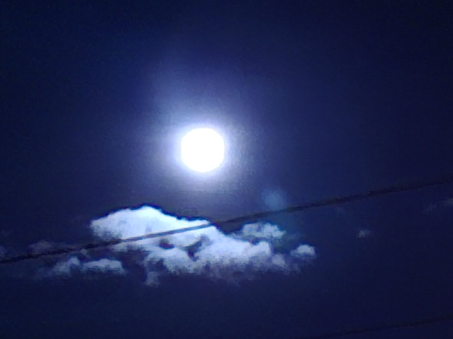 Photo #12543403