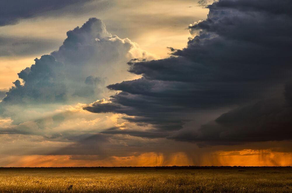 Photograph by Brola Szymon