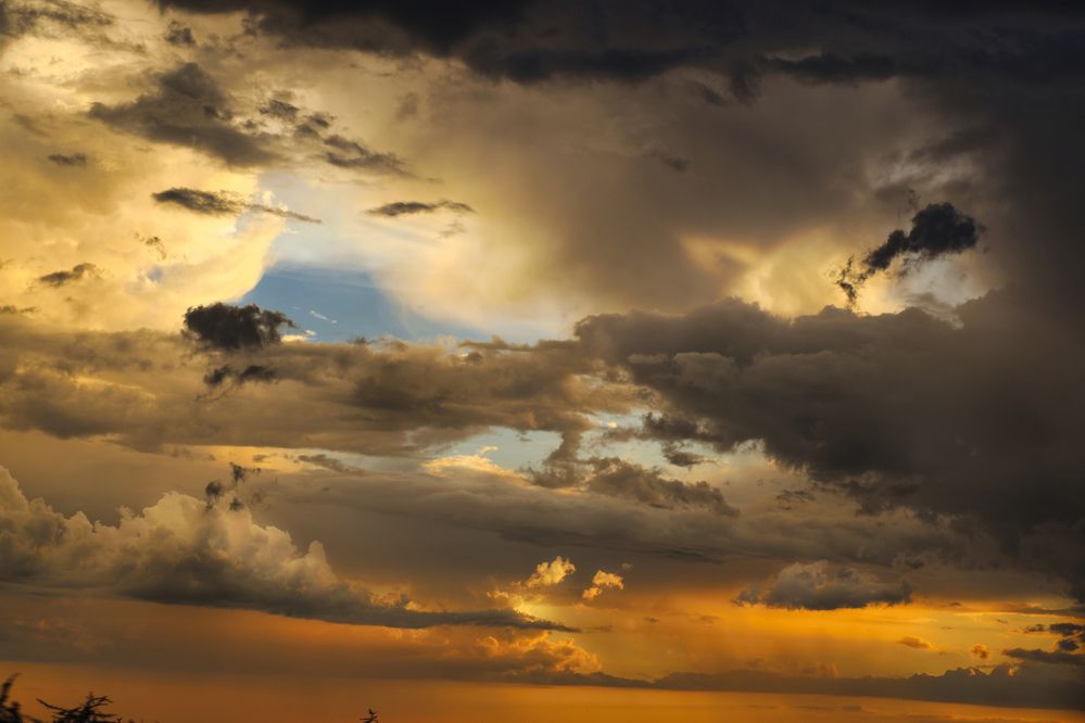 Photograph by Brola Szymon