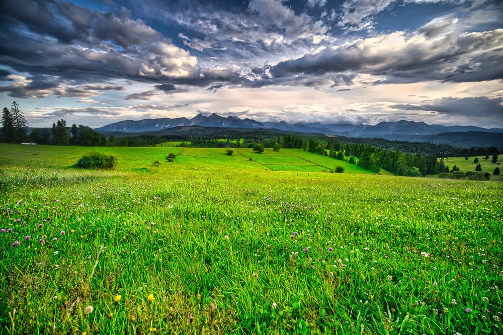 Photograph by Brola Szymon