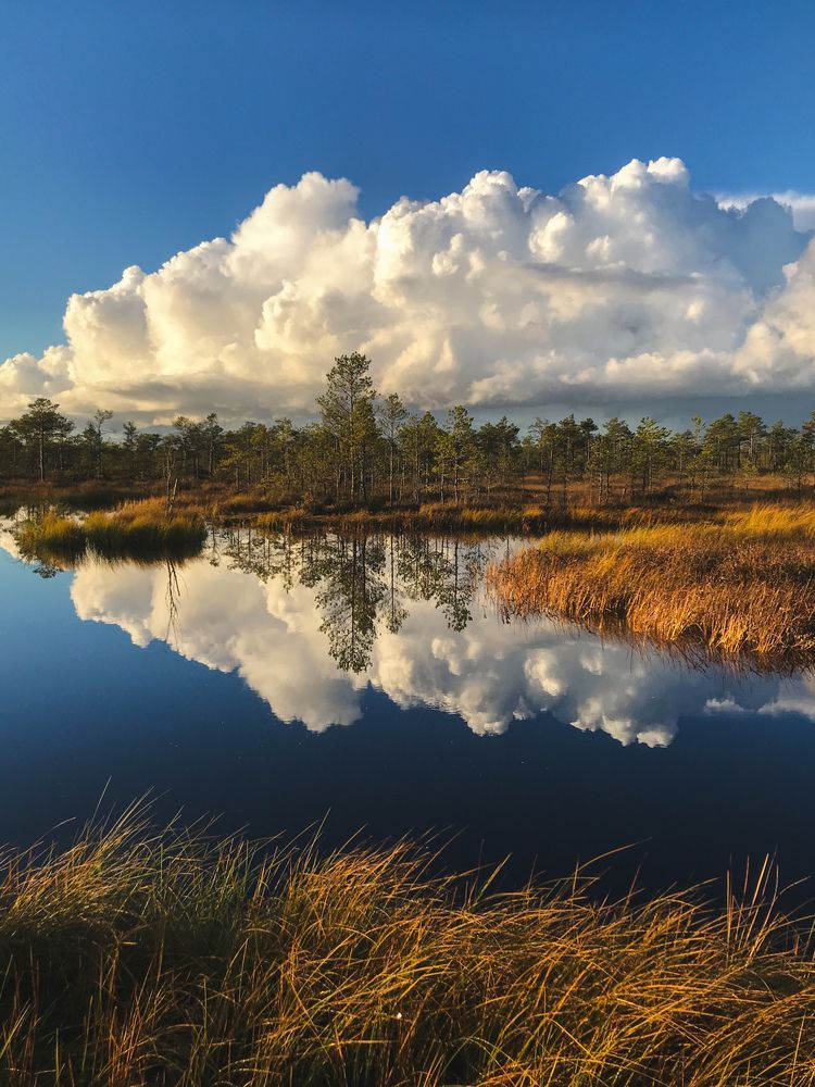 Photograph by Лариса Гришкевич