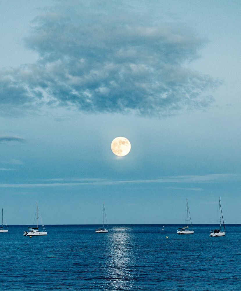 Photograph by Светлана Юдина