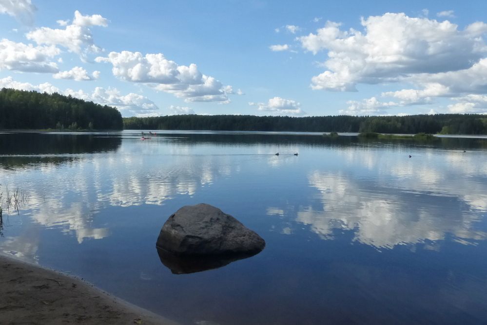 Photo #12543484