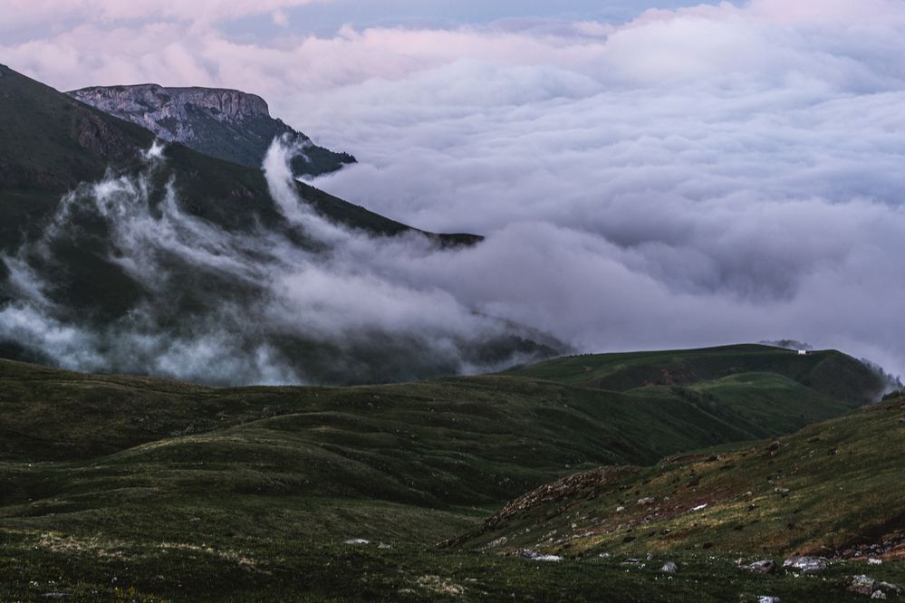 Photograph by Григорова Мария