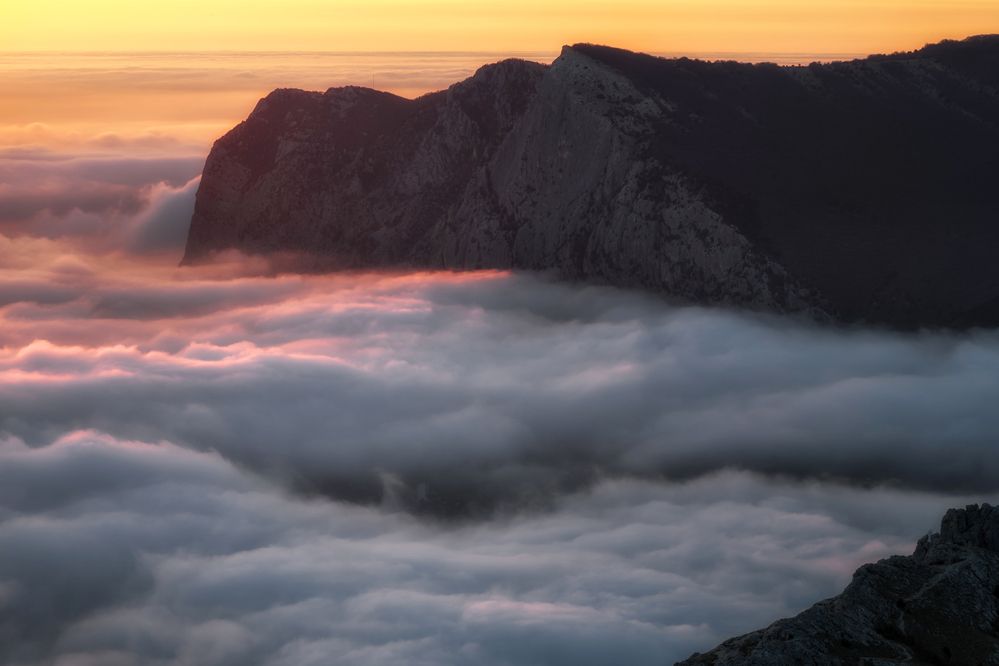 Фотография автора Дмитренко Екатерина