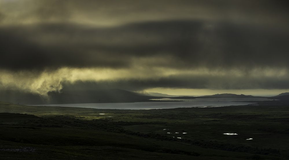 Photograph by Elena Mogilevich