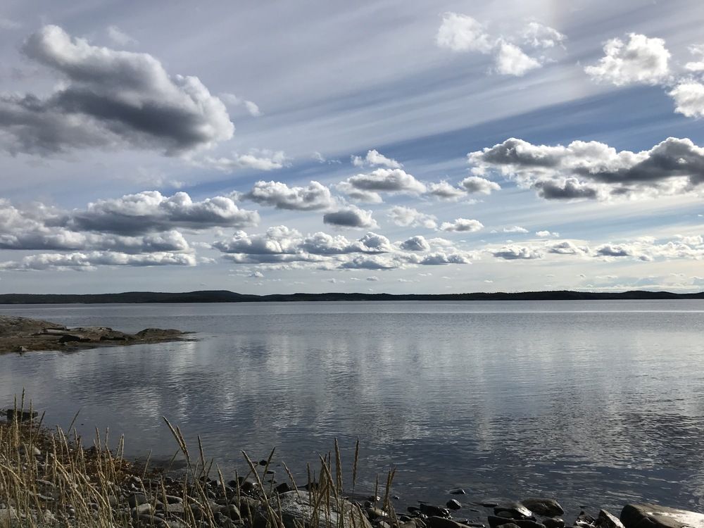 Фотография автора Gulnara