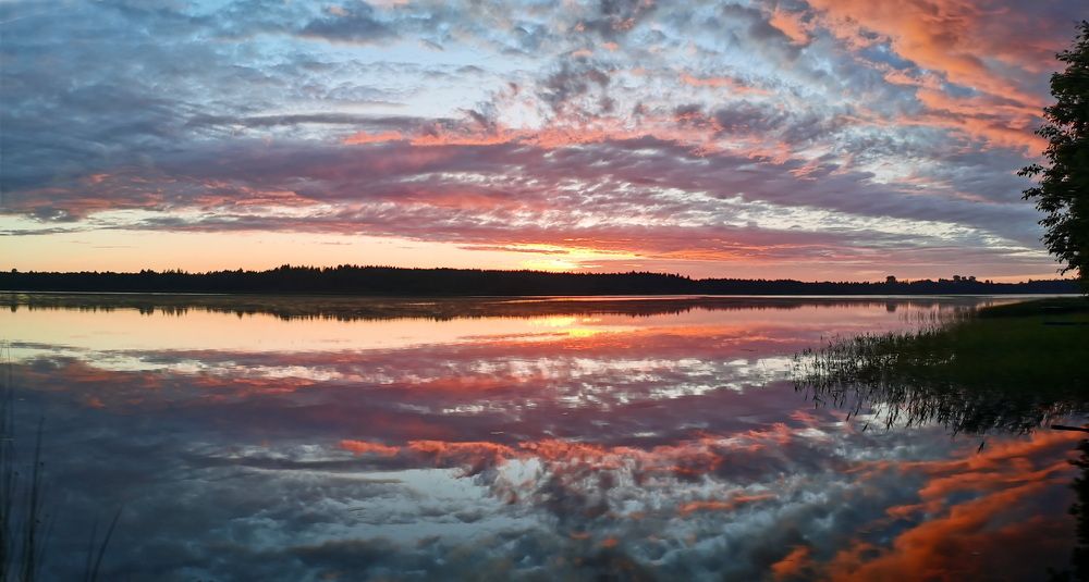 Фотография автора Анатолий Дауров