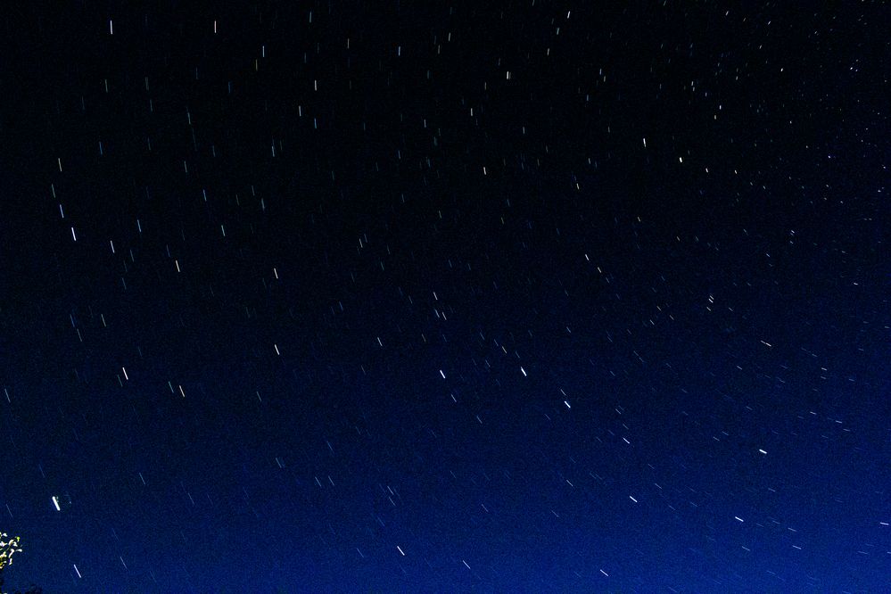 Фотография автора Даниэль