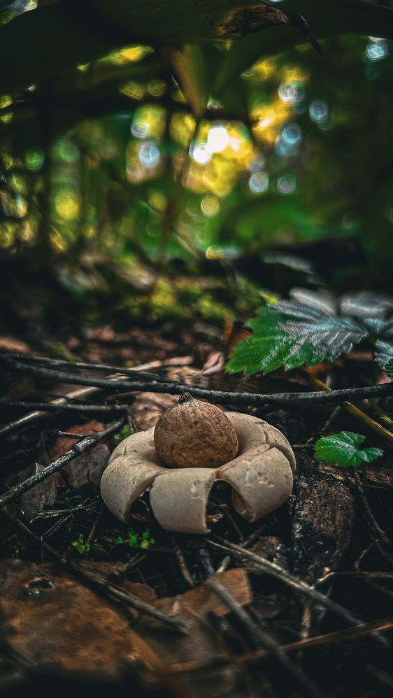 Photograph by Евгений Фисун