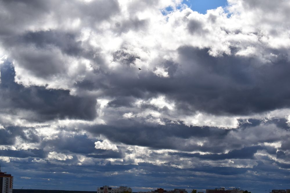 Фотография автора Даниэль