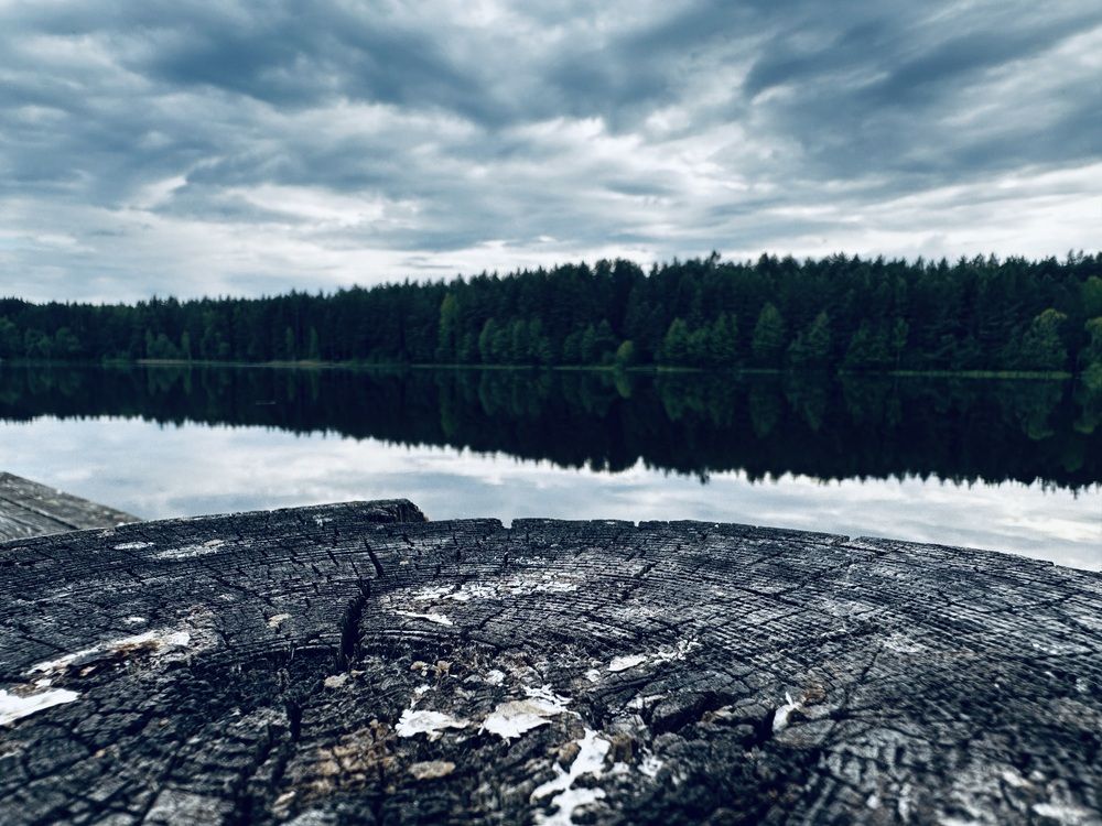 Photograph by Ольга Позняк